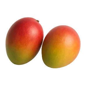 Mango komad