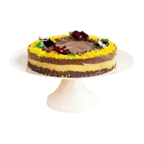 Selekcija torta čoko orandž 1kg