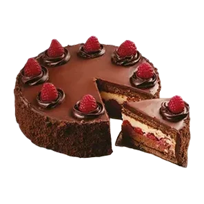 Selekcija torta čoko malina 1kg