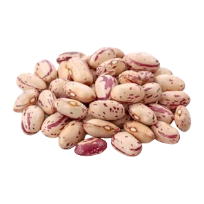 Šareni pasulj - Cranberry MK10 ca 1kg