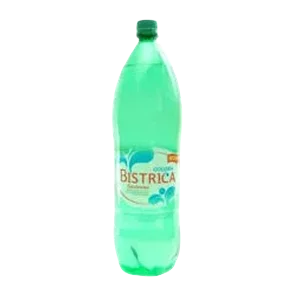 Bistrica prirodna gazirana voda2l