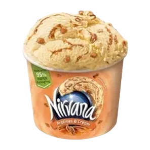 Sladoled Nirvana praline&krem 549g