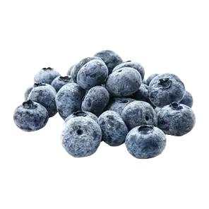 Zamrznuta Borovnica 1kg Friglo