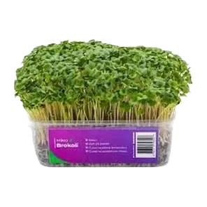 Mikrobilje brokoli 25g