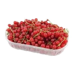 Ribizla Crvena 125g domaca