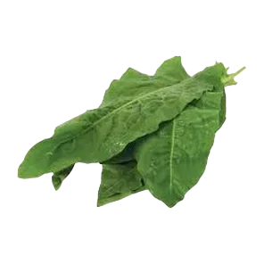 Zelje veza domace