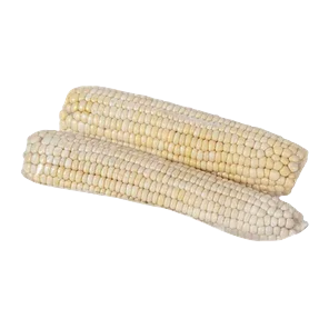 Kukuruz secerac pakovani 2kom