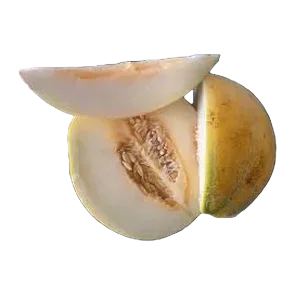 Dinja secena 300g