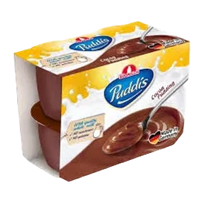 Puding Puddis 125 Campina