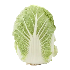 Kupus kineski