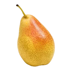 Kruska Forelle