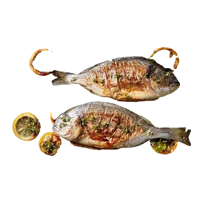 Orada Sveža 600/800gr