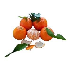 Mandarina