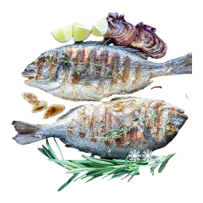 Orada 300-400 Bio Fish
