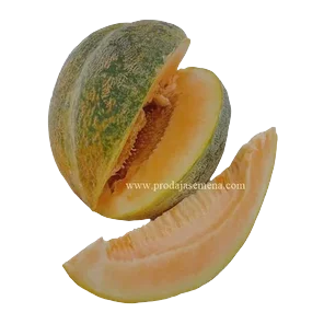 Dinja Mandakara domaca