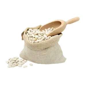 Pasulj Gradistanac