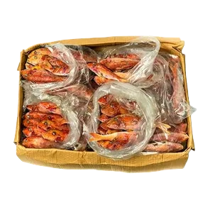 Barbun Zamrznuti Rinfuz Ribarnica