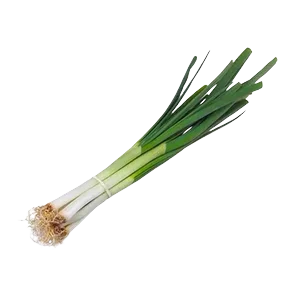Luk Beli Mladi