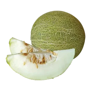 Dinja limun domaca
