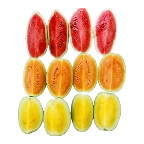 Lubenica semena polubox