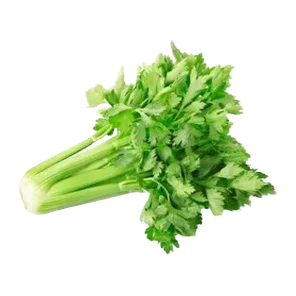Celer List Kg