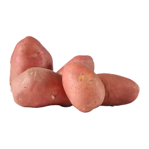 Krompir crveni mladi domaci