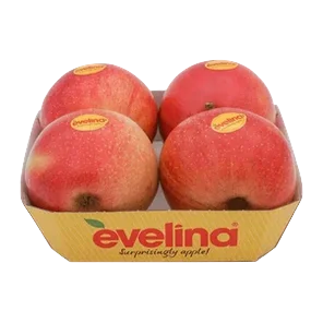 Evelina
