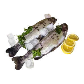 Pastrmka Sveža
