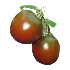 Paradajz kumato