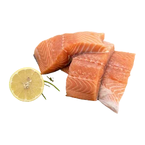 Svež Filet Lososa Bio Fish