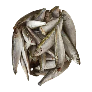Papalina Ribella Cca 1kg