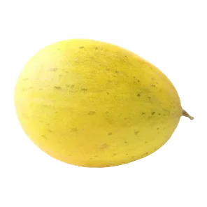 Dinja domaca