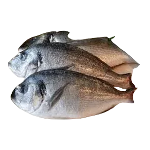 Morska Bela Riba Mrmor Grčka