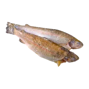 Pastrmka očišćena
