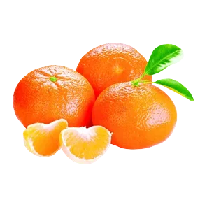 Klementina