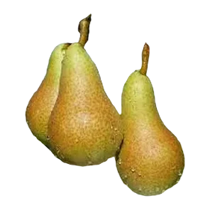 Kruska Abata fetel