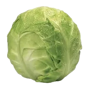 Kupus mladi kg