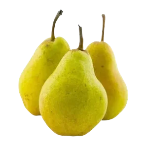 Kruška sveža kg
