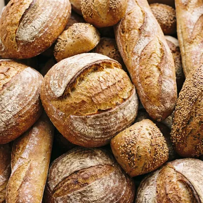 Pekara